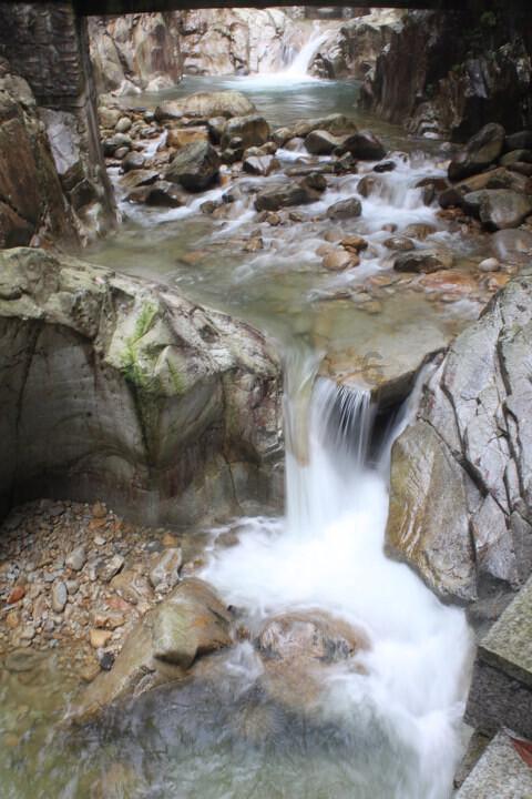 杨淑丽同志简历